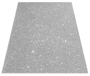 ESC. FOAMI ESCARCHADO DOBLE CARTA PLATA